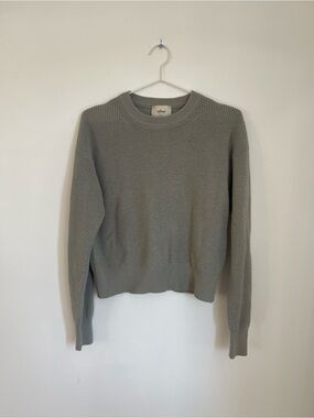 ✨Wilfred merino wool/cotton sage green sweater✨